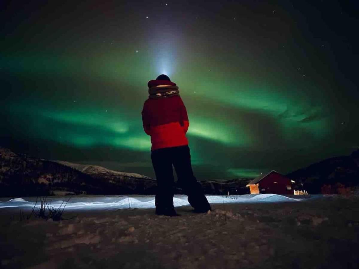 Storjord Farmstay Glamping Tromsø Dış mekan fotoğraf