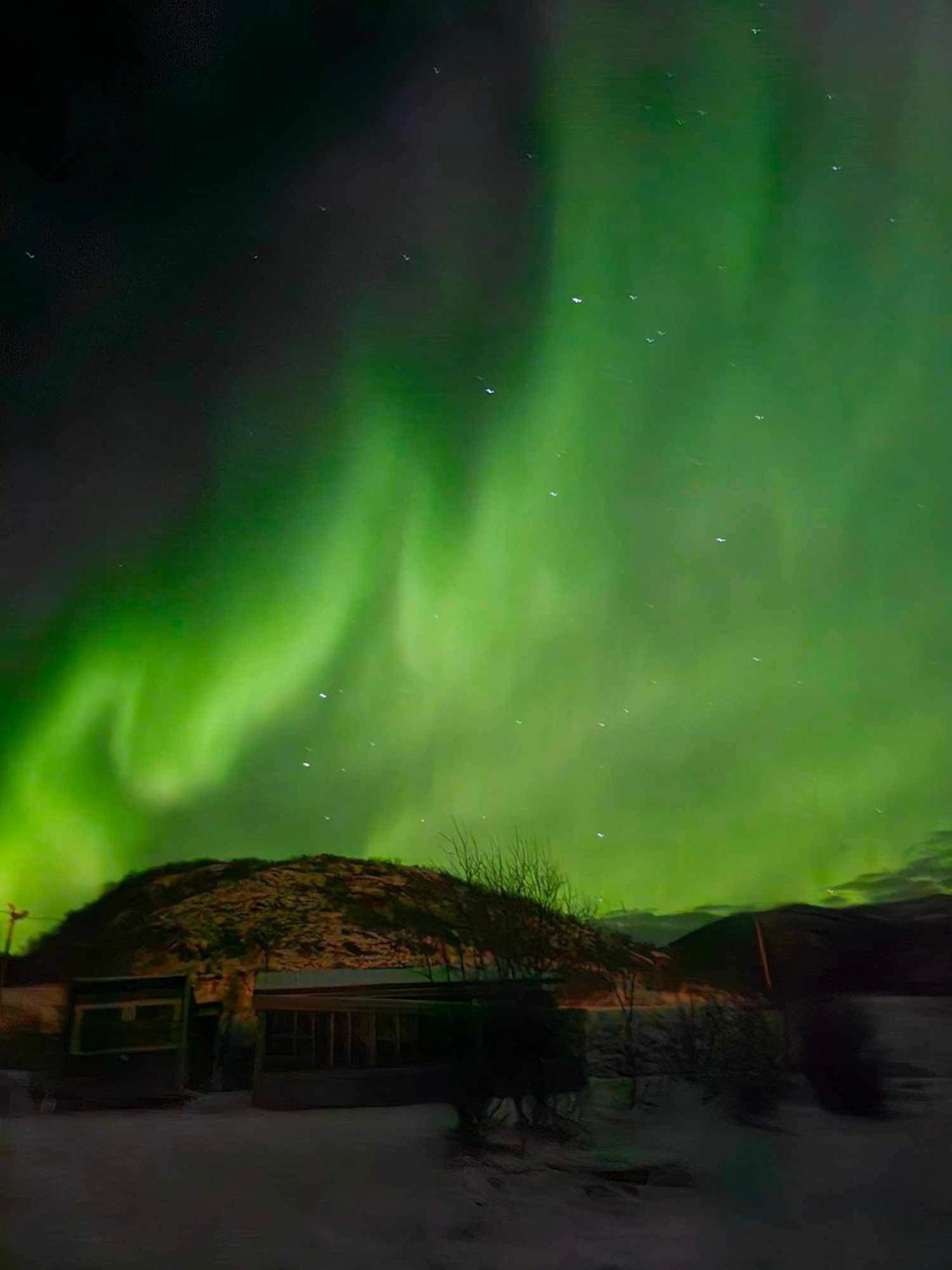 Storjord Farmstay Glamping Tromsø Dış mekan fotoğraf